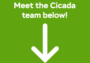 meet-the-team